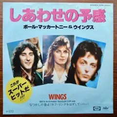 HAROLD MELVIN & THE BLUE NOTES レコード 二人の絆 - メルカリ