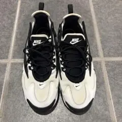 Nike Zoom 2000 ホワイト