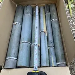 Item thumbnail for item 7741f51d-2e00-47f6-a3bd-1d8d47c55481