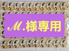 【ℳ.様専用】WIND BREAKER ホログラムビッグ缶バッジ 桜遥 10個