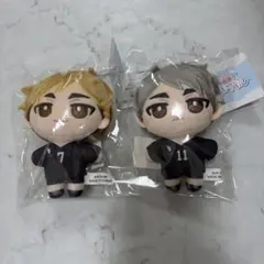 ハイキュー 宮治 宮侑 ぬいパル