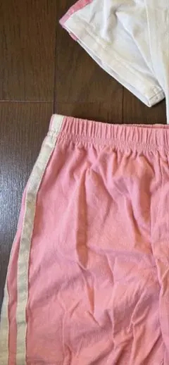 豆柴さま