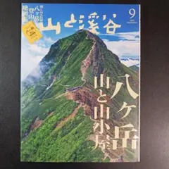 2026年最新】山と渓谷9の人気アイテム - メルカリ