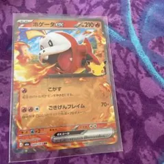 ポケモンカード ホゲータex 25th