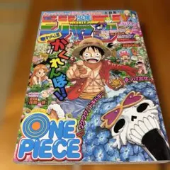 週刊少年ジャンプ 2011年25号 ONE PIECE表紙 - メルカリ