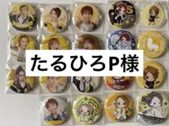 たるひろP様 専用