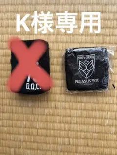 2026年最新】bump of chicken pegasus youの人気アイテム - メルカリ