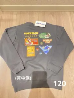 Item thumbnail for item 4b245f1d-edce-409f-bcbb-c269b5641b6a