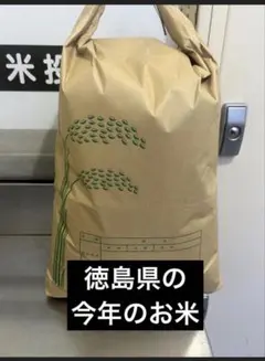 無洗米 兵庫県丹波産 減農薬コシヒカリ 正味10㎏ 令和7年産 - メルカリ