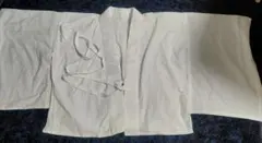 Item thumbnail for item ca365ecc-d62b-4255-9260-83937b83eddc