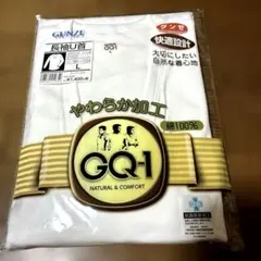 GUNZE GQ-1 長袖U首 Lインナーシャツ 肌着