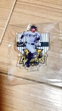 阪神タイガース 熊谷