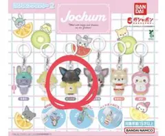 2026年最新】ピーハイの人気アイテム - メルカリ