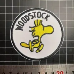 アイロンワッペン★40★SNOOPY★