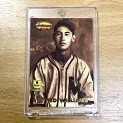 2025年最新】テッドウィリアムズの人気アイテム - メルカリ