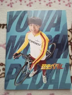 弱虫ペダル　映画　パンフレット　永瀬廉　橋本環奈　坂東龍汰　井上瑞稀