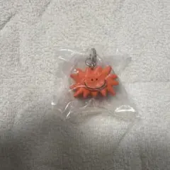 DAISUKE KONDO めじるしアクセサリー　taiyo