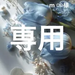 m ☺︎☺︎様専用　デコパーツ　アソート　バラ