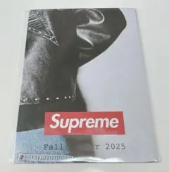 Supreme Fall/Winter 2025 カタログ ポスター