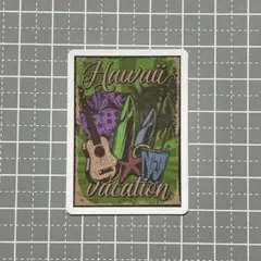 【A326】防水ステッカー ハワイ 楽器 レトロ Hawaii