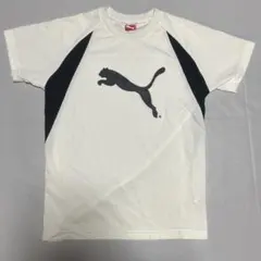 プーマ PUMA 白 ジャージ 運動着 赤字覚悟 150cm