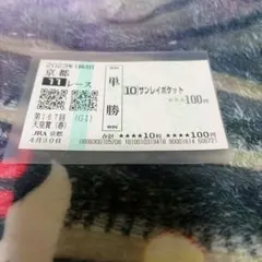 2023 天皇賞春　サンレイポケット　現地単勝馬券　外れ馬券のサムネイル