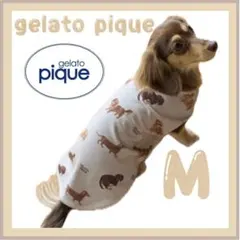 2025年最新】ジェラートピケダックスフンドの人気アイテム