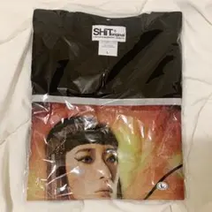 Item thumbnail for item d17151c1-b377-4970-941f-7933951ffe26