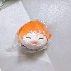 水*色様 fgo もちもちマスコット 終局特異点ソロモンver ロマニ - メルカリ