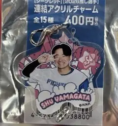 山縣秀 ジャンボうちわ 2026年最新】山縣秀の人気アイテム - メルカリ
