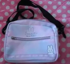 Item thumbnail for item 53da1411-51d4-42ee-858a-6e77c30c5404