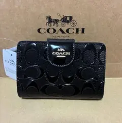 Item thumbnail for item ed264e43-1208-4991-b837-1045c4b9795d