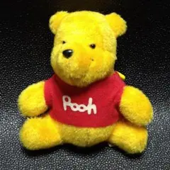 ディズニーランドくまのプーさんぬいぐるみバッジ　レトロ　ヴィンテージ