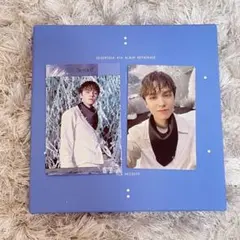 バーノン SECTOR17 トレカ ステッカー