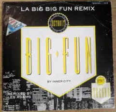 Inner City Big Fun レコード Detroit Techno