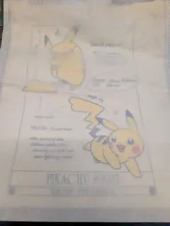 ポケモン30周年 ロンドン自然史博物館コラボ　ピカチュウトートバック