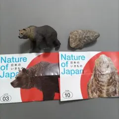 2025年最新】羆の人気アイテム - メルカリ