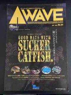 ピーシーズ・マガジン:アクアウェーブNo.34