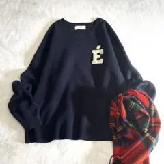 美品⭐️SLOBE IENA サガラ刺繍 スウェットライクニット　紺　24SW