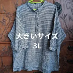 おおきいサイズ