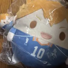 ハイキュー！！　ぬいくじ　アニメイト　ふわコロりん　日向　B賞　D賞