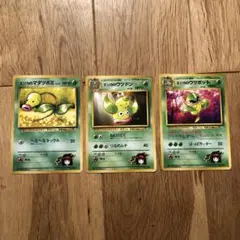 エリカのポケモンカードセット