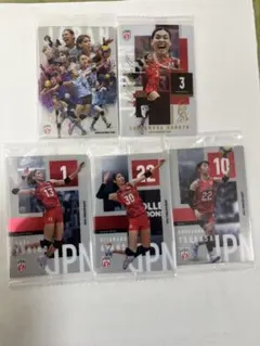 ツインウェハースバレーボール日本代表 カード 5枚セット