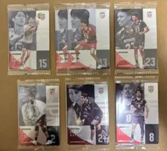 男子バレー バレーボール 日本代表 ツインウエハース まとめ売り