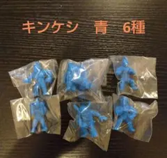 キンケシ27　6種