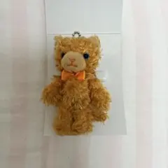 2025年最新】プリンスキャット アランチャの人気アイテム - メルカリ