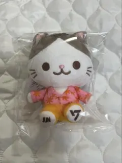 SEVENTEEN ジュン　ぬいぐるみ　マスコット　SEGA