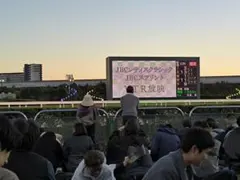 ウルフさん専用