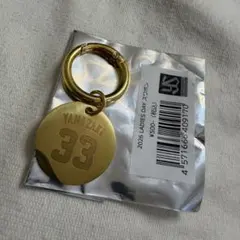 ヤクルト 山崎太陽 メタルチャーム