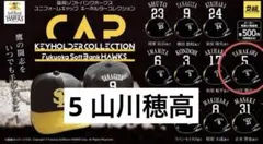 ソフトバンク 記念グッズ